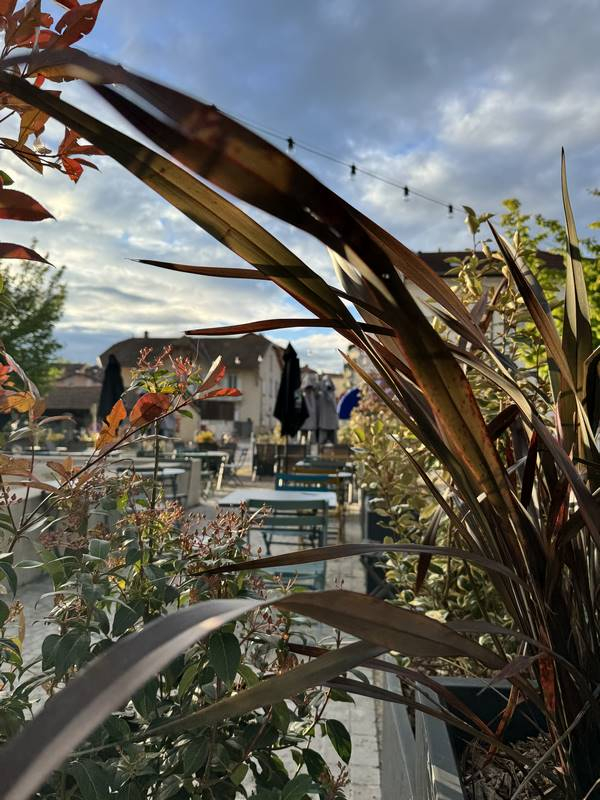 La terrasse de notre restaurant, Meximieux, Le Meridio